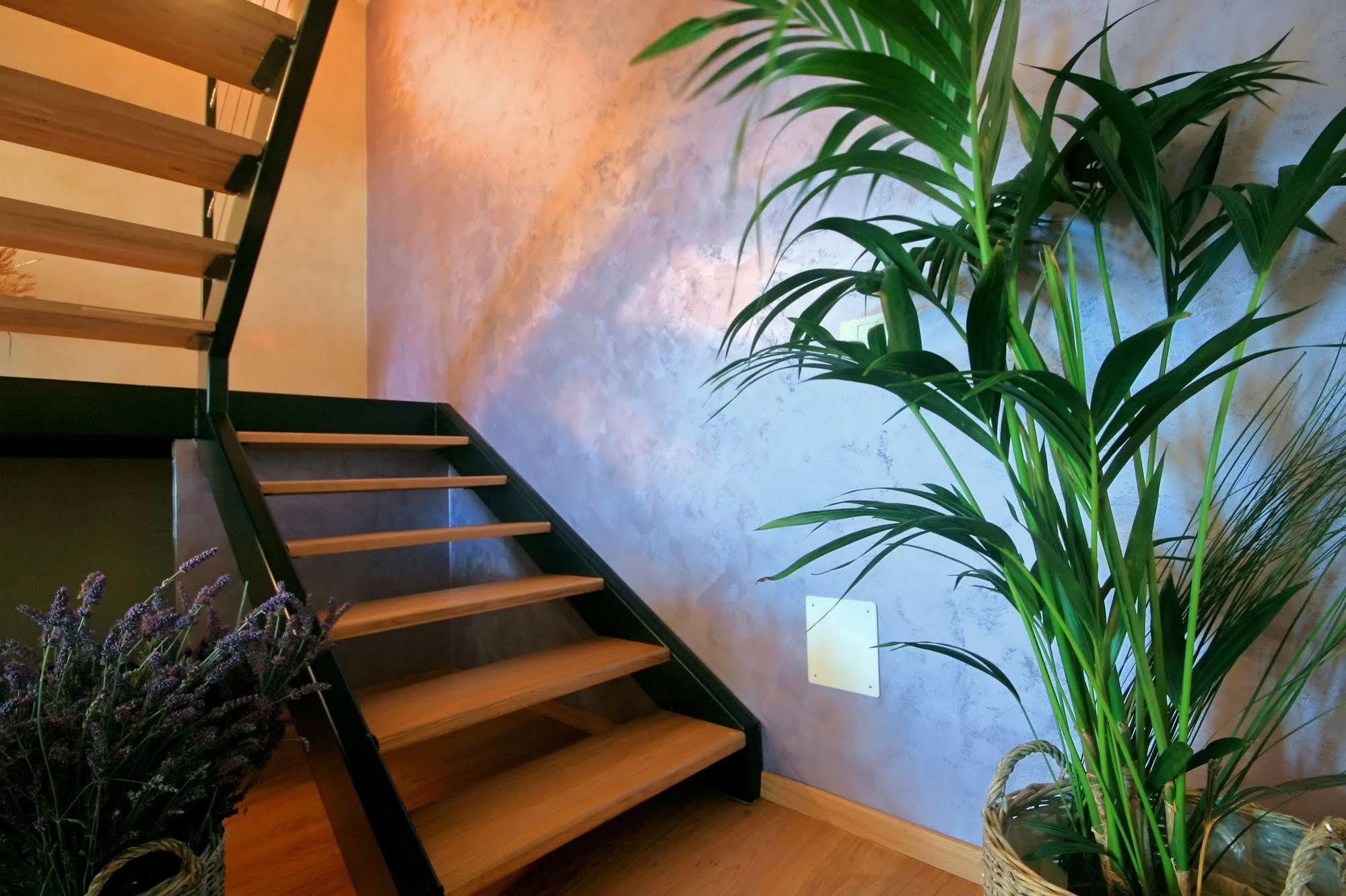 Angelo D'Oro Apartment Monte Rovinj Eksteriør bilde
